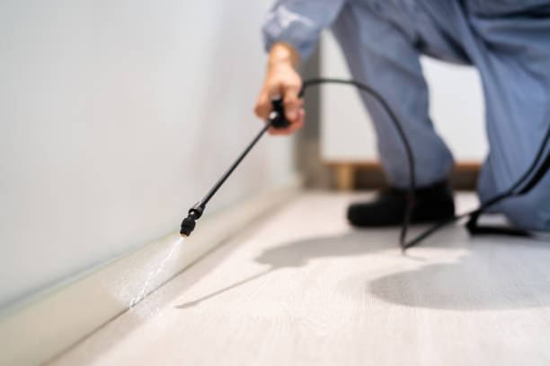 Licensed Termite Control service in Jackson County County, MI - Nex Pest Control