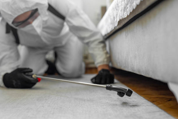 Professional Termite Control technician working in Jackson County County, MI
